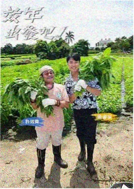 露营日记 慢综艺在线观看